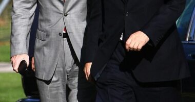 Former Prime Minister Gordon Brown has said Peter Mandelson's secret emails with Jeffrey Epstein while he was in Government could constitute a 'financial crime'. Pictured: Brown and Mandelson in 2008