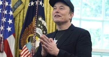 Government Subsidies Killed the EV Industry – HotAir