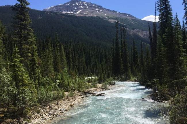 'Gun PERSON' Rampages Thru Canadian School