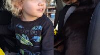 Gus's parents shared a new photo of the missing four-year-old in a car (pictured) and a video of the toddler riding a bike at his grandparents' rural property