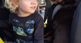 Gus's parents shared a new photo of the missing four-year-old in a car (pictured) and a video of the toddler riding a bike at his grandparents' rural property