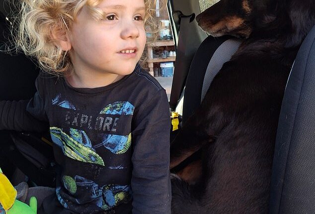 Gus's parents shared a new photo of the missing four-year-old in a car (pictured) and a video of the toddler riding a bike at his grandparents' rural property