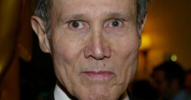 Henry Silva Net Worth | Celebrity Net Worth