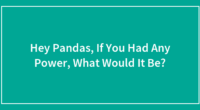 Hey Pandas, If You Had Any Power, What Would It Be?