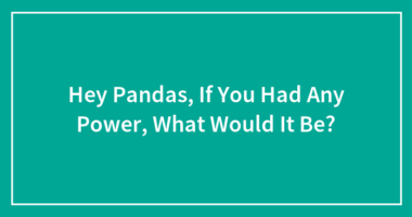 Hey Pandas, If You Had Any Power, What Would It Be?
