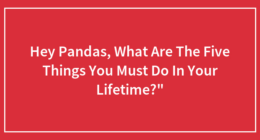 Hey Pandas, What Are The Five Things You Must Do In Your Lifetime?”