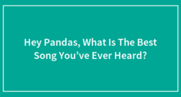 Hey Pandas, What Is The Best Song You’ve Ever Heard?