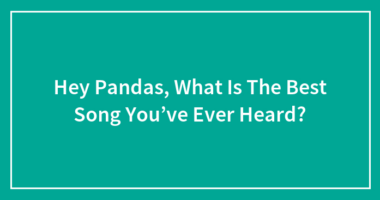 Hey Pandas, What Is The Best Song You’ve Ever Heard?