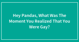 Hey Pandas, What Was The Moment You Realized That You Were Gay?