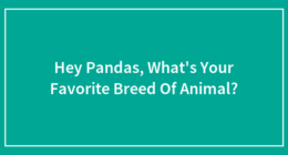 Hey Pandas, What’s Your Favorite Breed Of Animal?