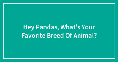 Hey Pandas, What’s Your Favorite Breed Of Animal?