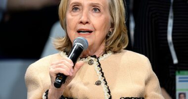 Hillary Clinton, the 78-year-old former US secretary of state, had a change of heart on immigration that shocked the Munich Security Conference on Saturday