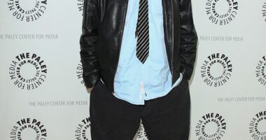 Home Alone star Daniel Stern, who played one of the burglars in the movie alongside Joe Pesci, has had the prostitution charge against him dismissed; pictured 2014