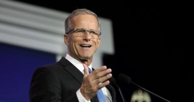 How Senate GOP Can SAVE Trump’s Presidency And Wreck Dems