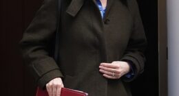 Chancellor Rachel Reeves (pictured on February 4) previously said £150 would be cut from the average household bill from April by scrapping the Energy Company Obligation scheme