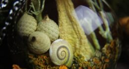 I Spent Over Five Years Perfecting My “Dome Technique” To Turn Tiny Forest Fragments Into Optical Art