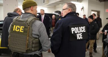ICE Arrests Over 650 in West Virginia During 15-Day Immigration Surge – RedState
