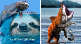 If Photoshop Disappeared, People Could Not Explain These Unhinged And Wild Pics