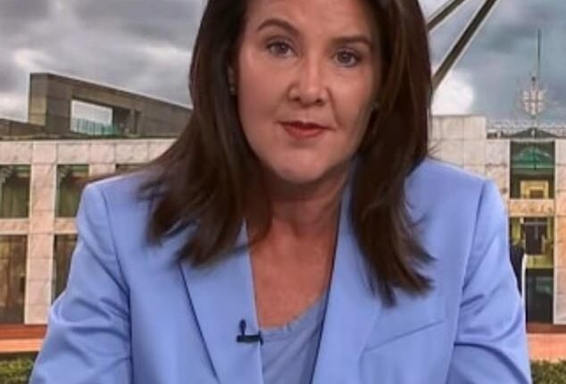 Senator Jane Hume slammed the Coalition as a 'rabble' and asked who it was fighting for and what its policies were during a Sky News appearance on Monday