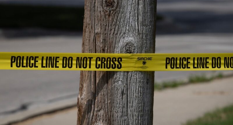 Instructor at scuba class where 12-year-old drowned had ‘been awake straight’ for 29 hours, report says