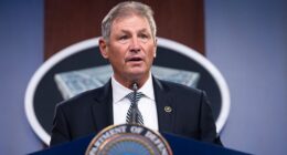 Former FBI assistant director Chris Swecker told the Daily Mail that Iran-linked sleeper cells could carry out terror attacks on American soil