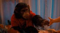 Is Ben the Chimpanzee a CGI Animal or Real? Who Plays Him?