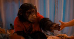 Is Ben the Chimpanzee a CGI Animal or Real? Who Plays Him?
