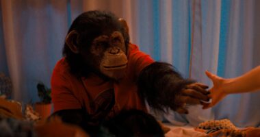 Is Ben the Chimpanzee a CGI Animal or Real? Who Plays Him?