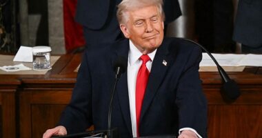 Despite all eyes being on President Donald Trump during his State of the Union address, it didn't stop other high-profile figures stealing some of his limelight