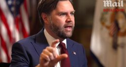 The Vice President praised Laura Loomer to the Daily Mail: 'I've got no problem with Laura Loomer.'