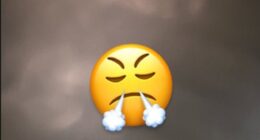 Jean-Philippe Mateta shared his frustration as his move from Crystal Palace to AC Milan was held up as the Eagles seek a replacement