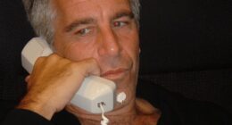 Jeffrey Epstein (pictured) acted as a relationship counsellor between Lord Mandelson and his then boyfriend, Reinaldo Avila da Silva