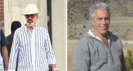 Jeffrey Epstein’s Brother Shares What Was Said In Their Final Conversation