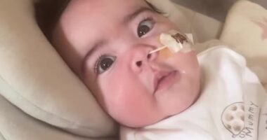 Jesy Nelson shared an adorable new video of her twin daughters after her documentary about their heartbreaking health battle topped the Prime Video viewing charts on Monday