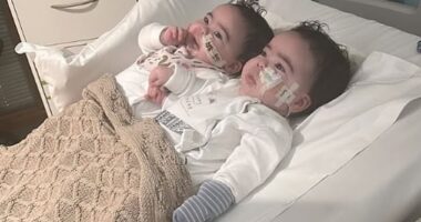 Jesy Nelson has shared a sweet photo of her baby twins holding hands and watching TV in hospital amid their devastating spinal muscular atrophy (SMA) type 1 diagnosis