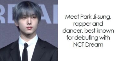 Jisung: Bio And Career Highlights