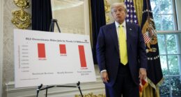 Jobs and CPI reports are not being politically manipulated, government’s statistics chief says