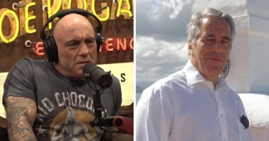 Joe Rogan Breaks Silence After His Name Comes Up In Epstein Files