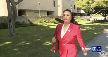 Judge Blocks Hawaii Censorship Law