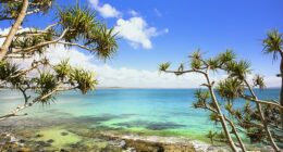 The coastal town of Noosa Heads has been named among the world's top 10 most welcoming destinations - a title unlikely to surprise anyone who knows it well