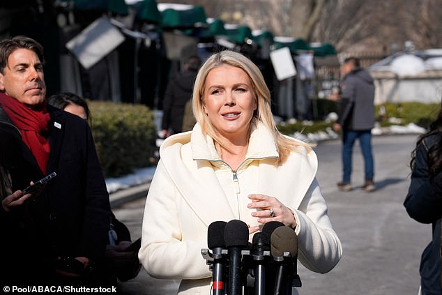 White House press secretary Karoline Leavitt was asked Tuesday to respond to Puerto Rican singer and Super Bowl halftime performer Bad Bunny's anti-ICE comments at Sunday's Grammys