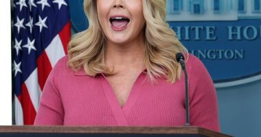 Over the past year, White House Press Secretary Karoline Leavitt, 28, has been thrust into the spotlight not only as the spokesperson for President Donald Trump, but for her personal style as well