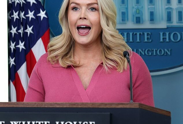 Over the past year, White House Press Secretary Karoline Leavitt, 28, has been thrust into the spotlight not only as the spokesperson for President Donald Trump, but for her personal style as well