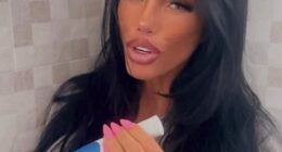 Katie Price took to her Instagram Stories with a pregnancy test on Monday after claiming she was 'having a child' with new husband Lee Andrews