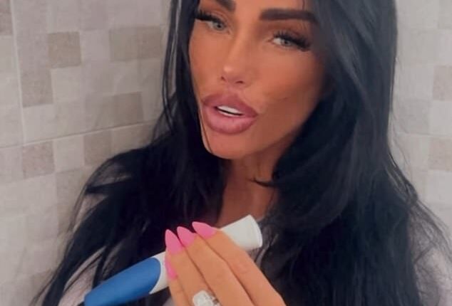 Katie Price took to her Instagram Stories with a pregnancy test on Monday after claiming she was 'having a child' with new husband Lee Andrews