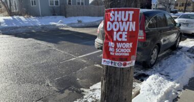 LA Teachers Union Plots ICE 'Resistance' In Schools