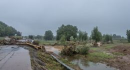 Latest as freak storm brings devastating 193kmph winds to New Zealand
