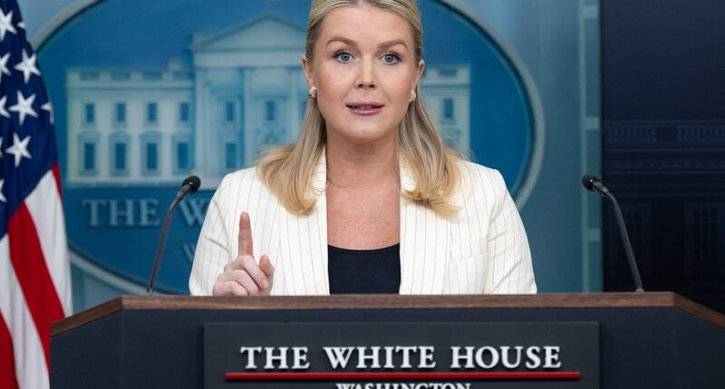 An answer provided by White House press secretary Karoline Leavitt at Tuesday's press briefing may have unintentionally outed President Donald Trump for telling a brazen lie. Leavitt was grilled on why Trump asked Senate Minority Leader Chuck Schumer to help him rename New York's Penn Station to Trump Station. On Friday, Trump told reporters on board Air Force One as he traveled to Florida for the weekend that it was Schumer's idea for the train station rebrand. The New York Democrat quickly snapped back and said it wasn't. 'Absolute lie. He knows it. Everyone knows it,' Schumer posted to X.