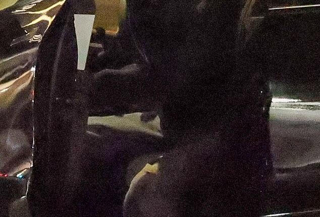 Leonardo DiCaprio, 51, enjoyed a romantic date night with girlfriend Vittoria Ceretti, 27, on Valentine's Day over the weekend