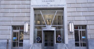 Look at What Happens When the NGO>Democrat Pipeline Shrinks – HotAir
